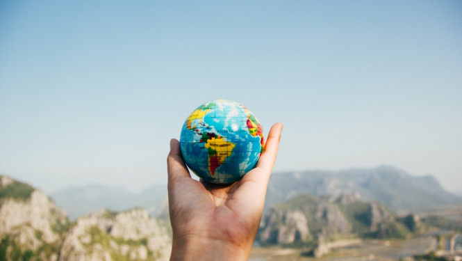 Diasporas NVO atbalsts