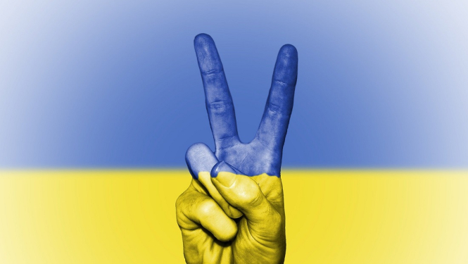 Ukrainas karoga vizuālis