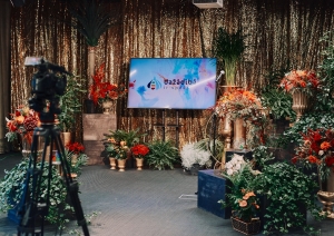 studija