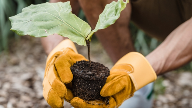 Ilustratīvs attēls