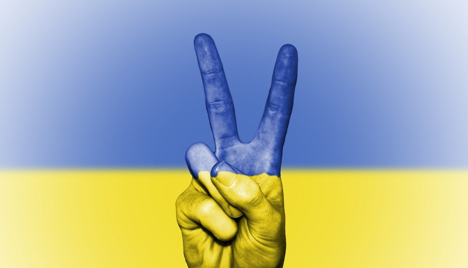 Ukrainas karoga vizuālis