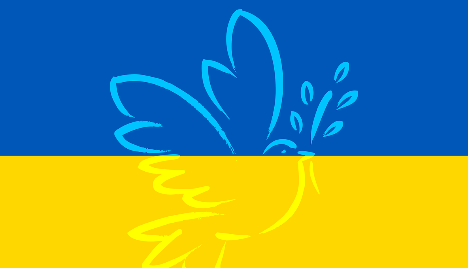 Ukrainas karoga vizuālis