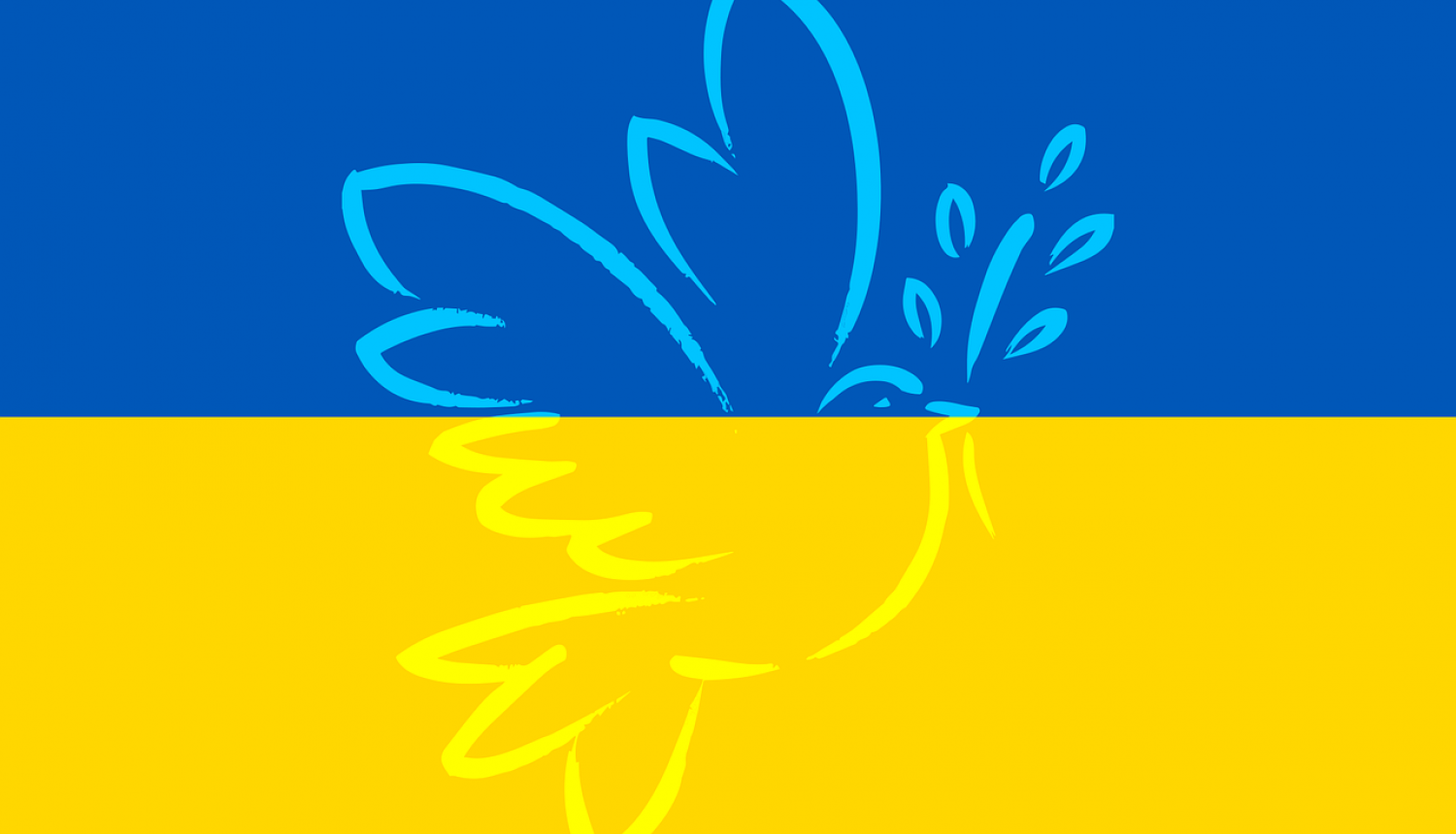 Ukrainas karoga vizuālis